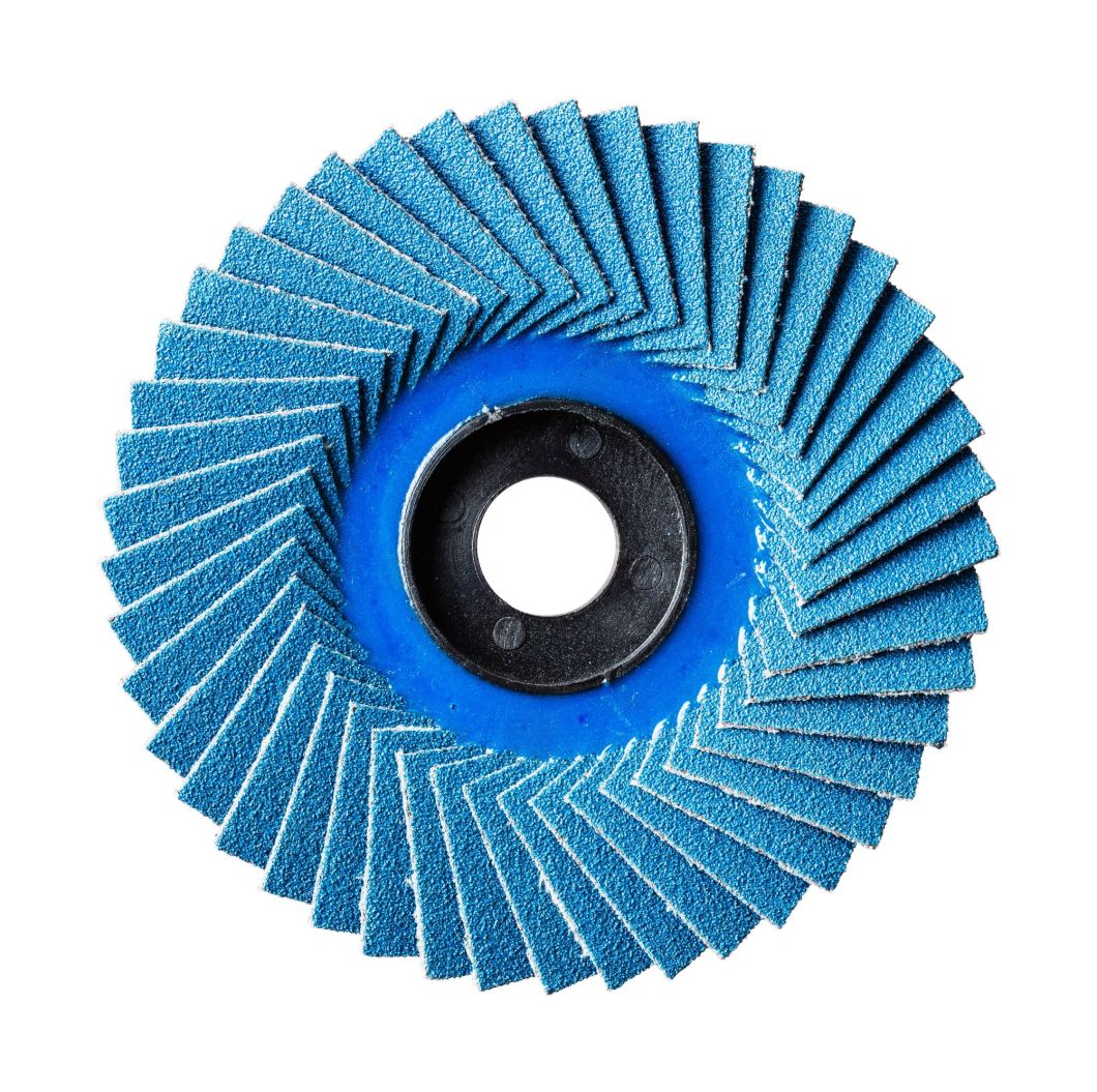 125 X 22mm Abrasive Flap Blade Disc Radial